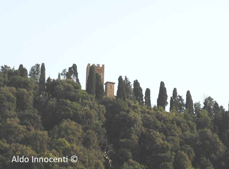 CASTELLO DELLA MARSILIANA: 2' IMMAGINE